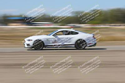 media/Oct-04-2025-OnGrid (Sat) [[44bd565ffa]]/Purple Group/Grapevine/